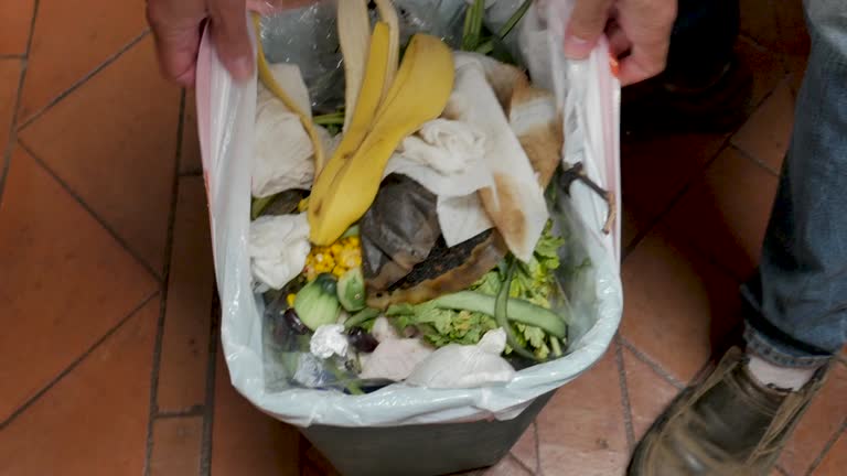 Best Recycling Services for Junk  in Foxfire, NC